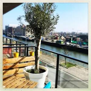 book here